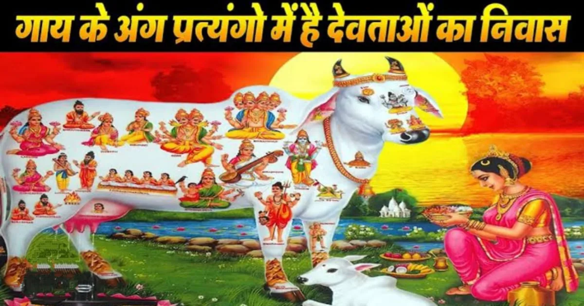 Which Hindu Deities Reside in the Cow's Body Parts