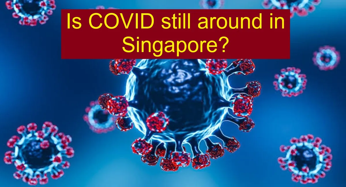 covid19 in singapore