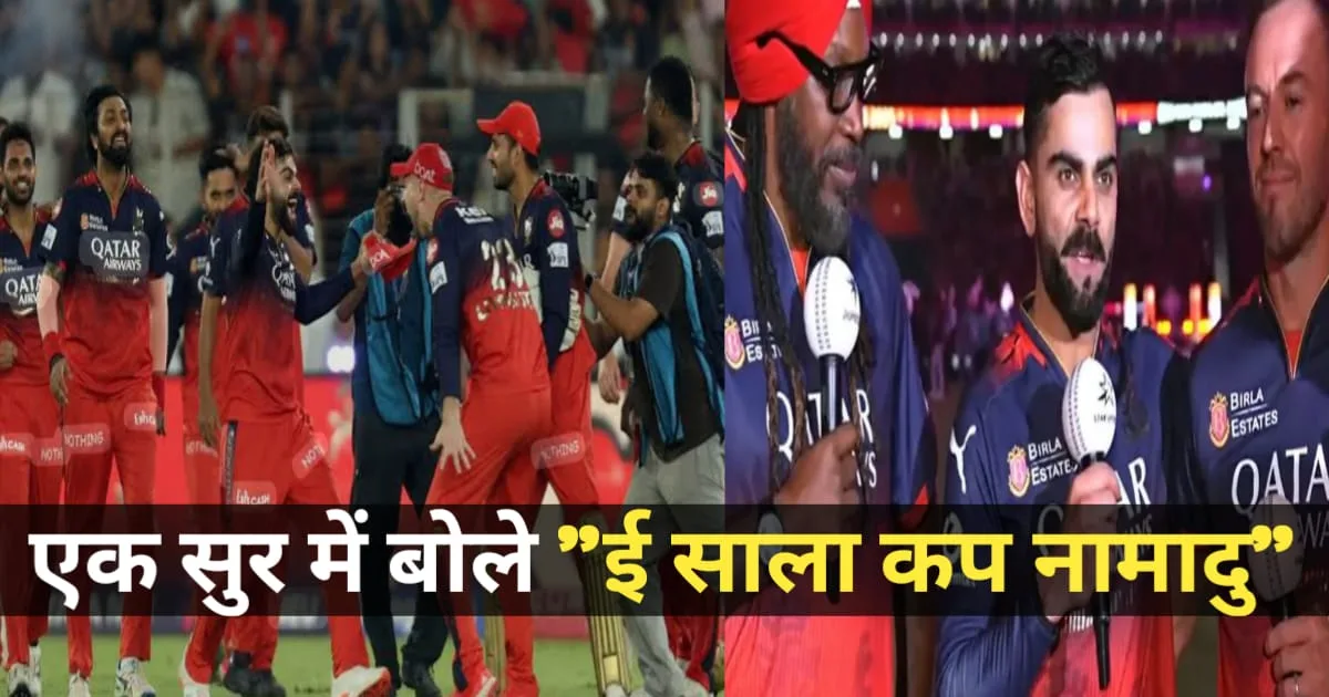 IPL 2025 Winner