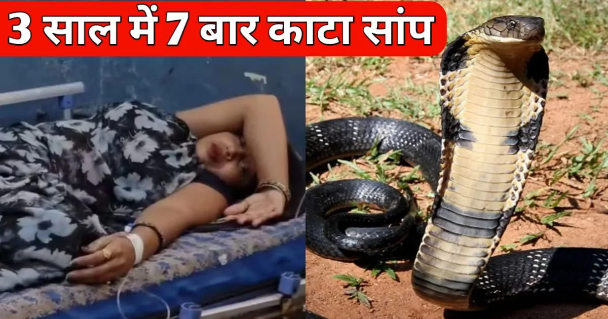 Bitten by a snake 7 times in 3 years, 3 साल में 7 बार सांप ने काटा